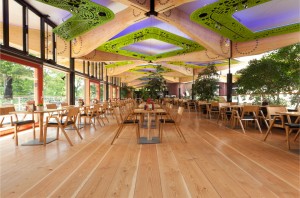 A job well done! The end result of a commercial wood floor sanding project at the Royal Botanic Garden in Edinburgh.