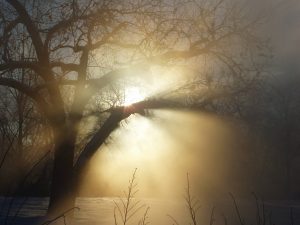 Disinfectant Fogging Service Fife